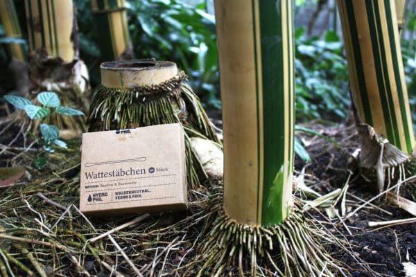 Wattestäbchen ohne Plastik